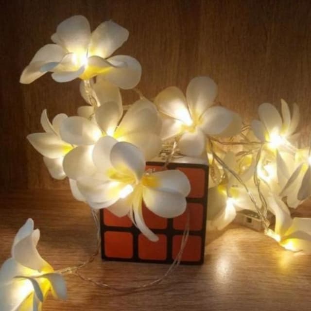 Flower Fairy Lights