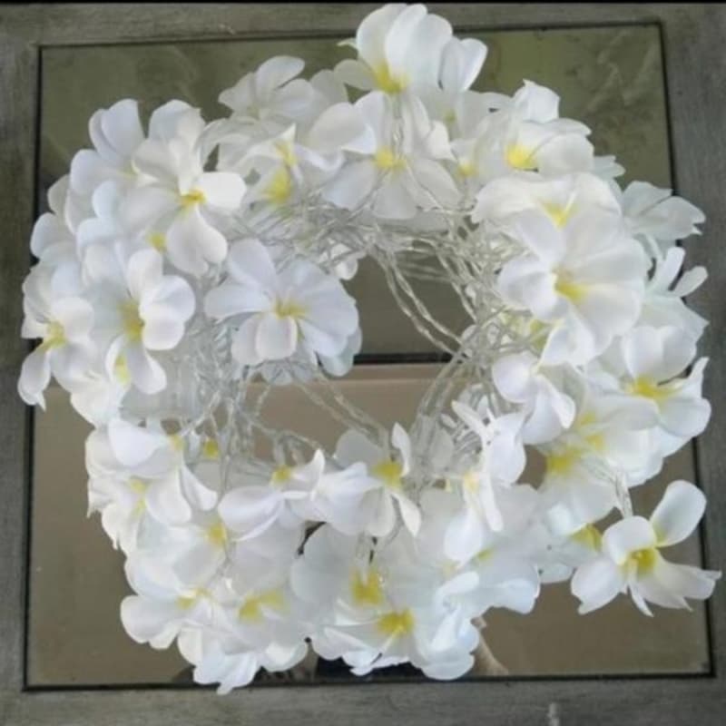 Flower Fairy Lights
