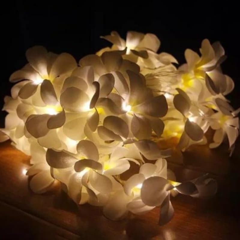 Flower Fairy Lights